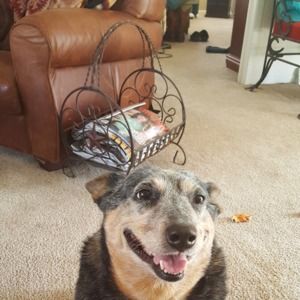 Meet your Posher, Paula